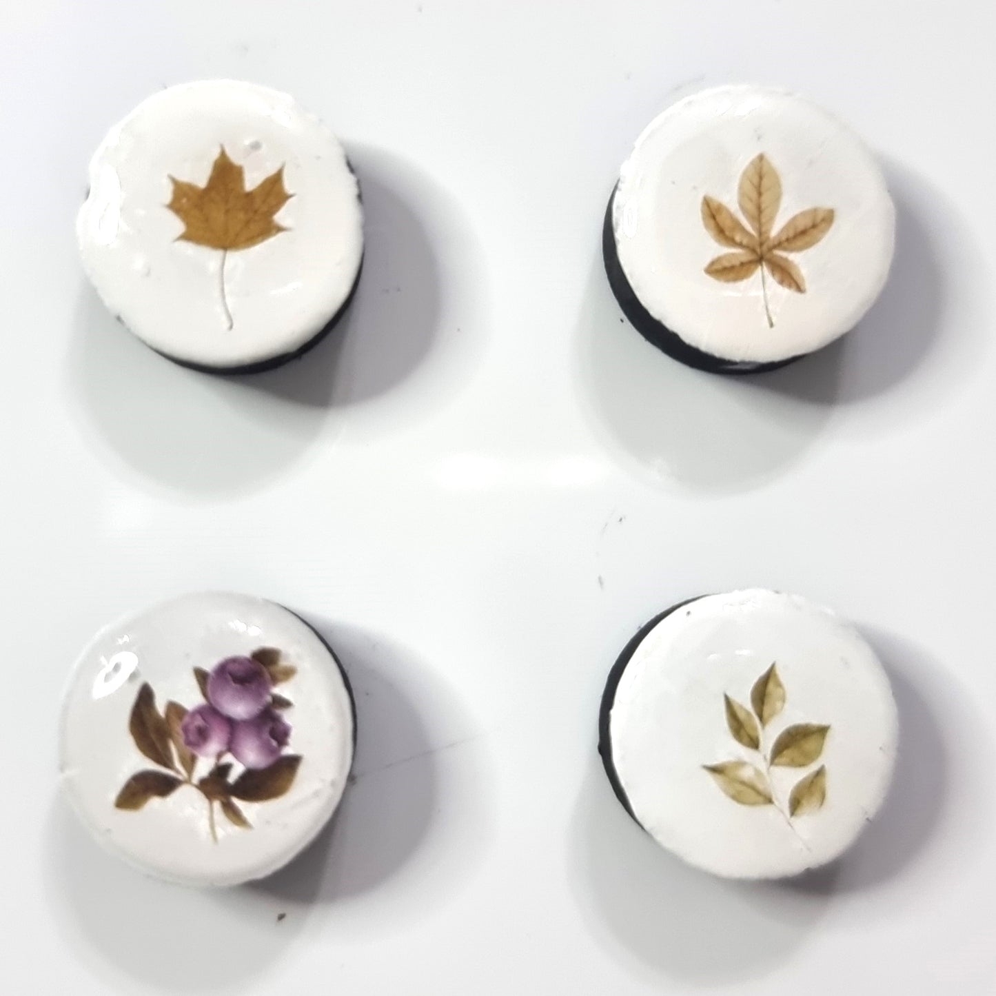 Set of 4 magnets- Leaves
