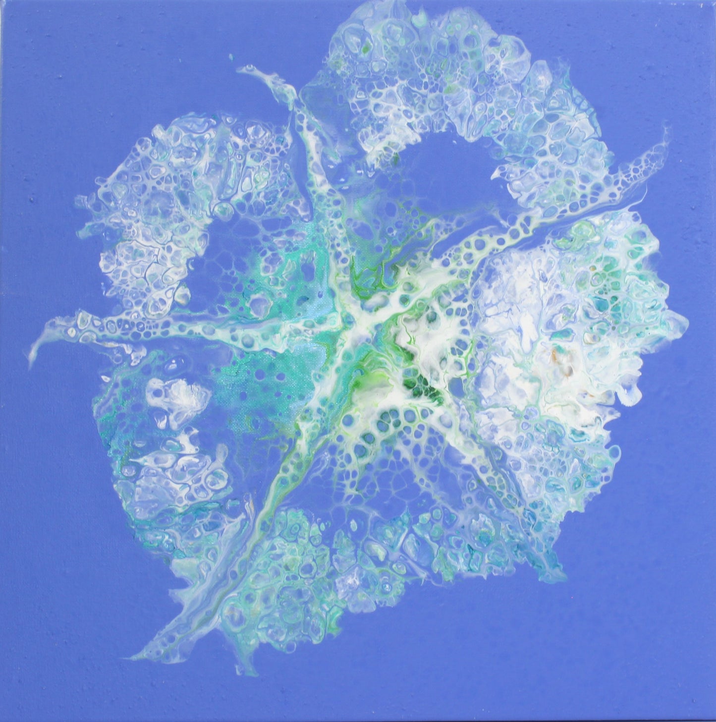 Starfish on a leaf